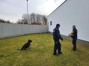 Dwóch policjantów umundurowany stoi. Pies służbowy siedzi.