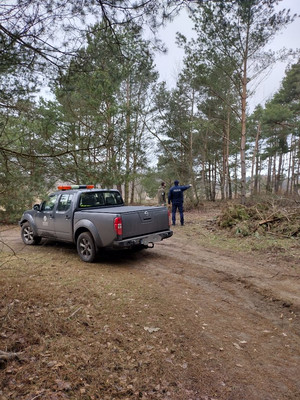 Umundurowany policjant stoi, obok funkcjonariusz strazy leśnej.