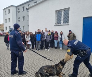 Młodzież stoi. Widać umundurowanego policjanta z rękawem do tresury psów policyjnych, który łapie pies.