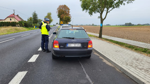 Policjanci kontrolują pojazd