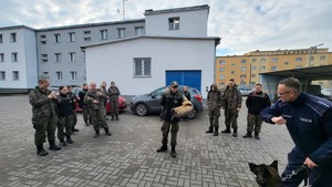 Pokaz tresury Primy, psa służbowego