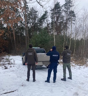 Policjanci i funkcjonariusze straży leśnej