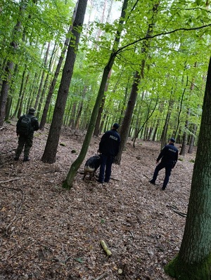 policjanci