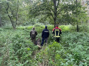policjant, strażak i leśnik