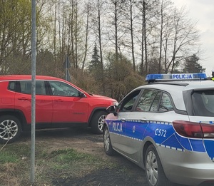 policyjne działania