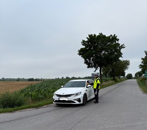 policjanci na dziłaniach